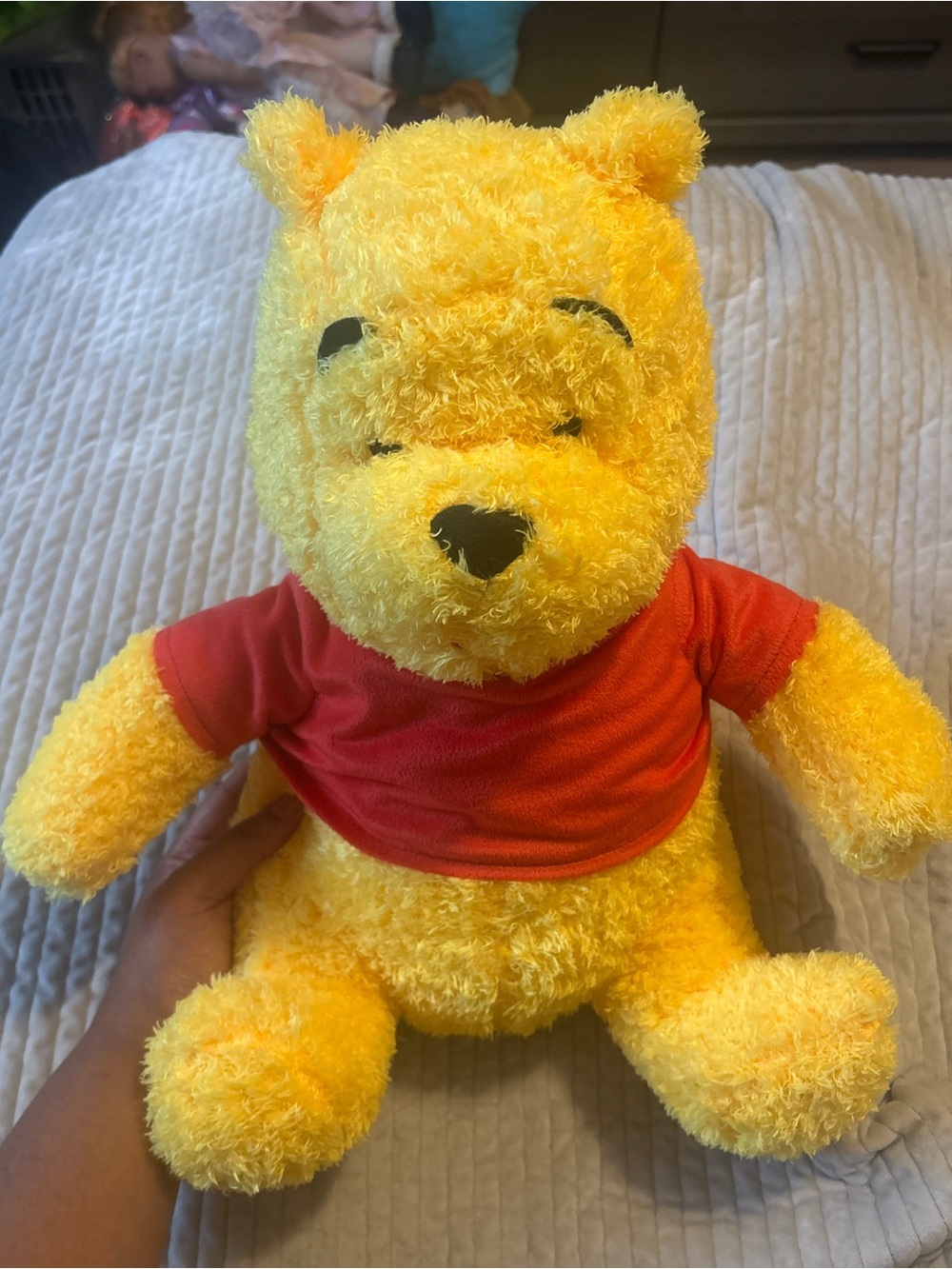 Disney Winnie the Pooh Plush Bear Classic Red Shirt